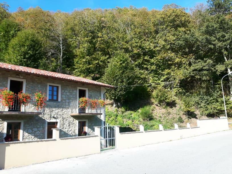 Affittacamere Da Morena Gorfigliano 外观 照片
